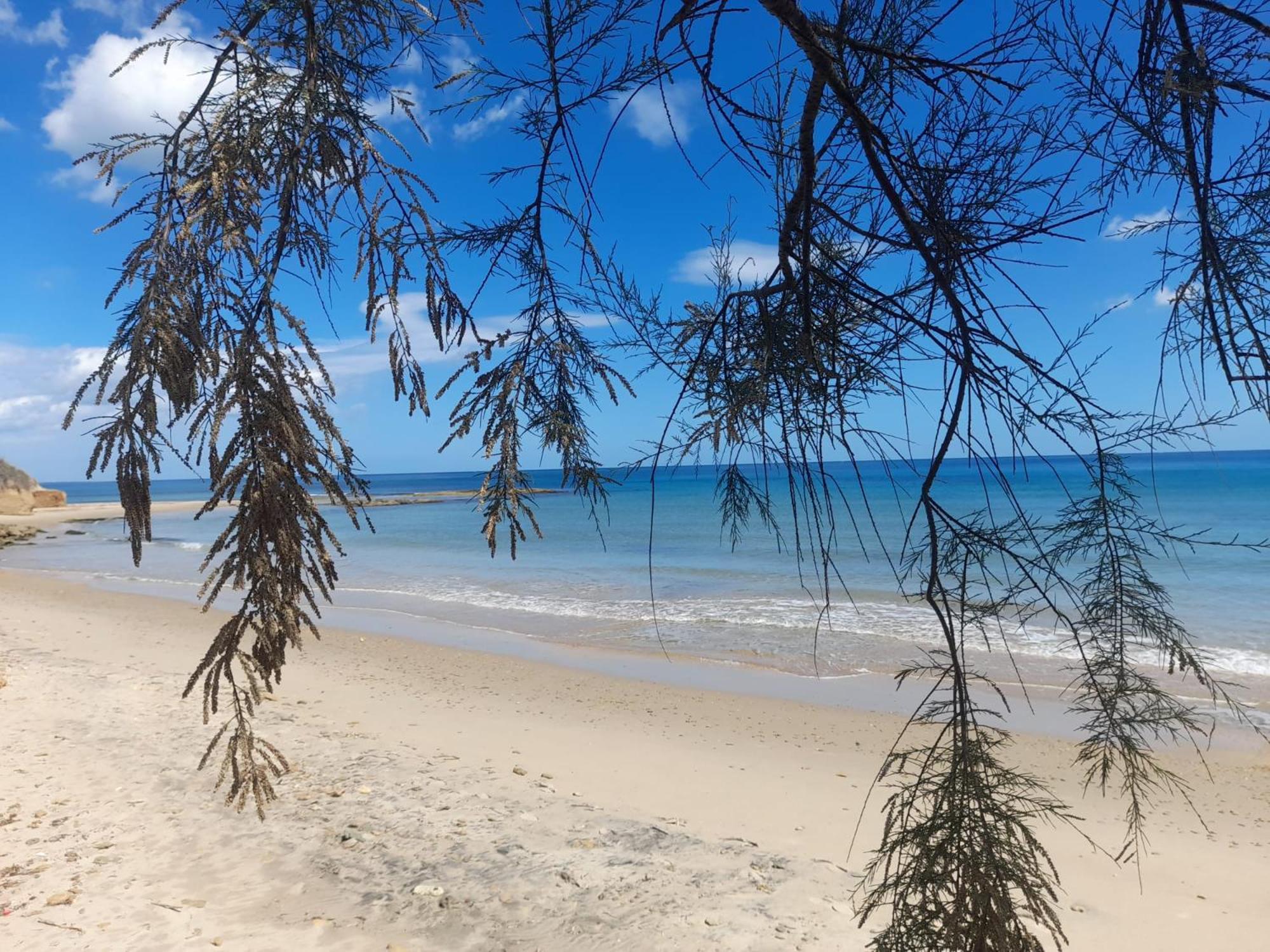 Tra Vento E Mare Apartment Lendinuso Bagian luar foto